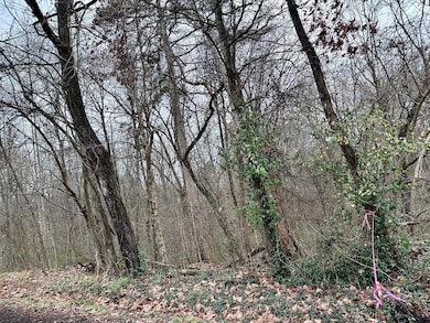 310 Brumlow Hollow Rd, Soddy-Daisy, TN 37379 - photo 3