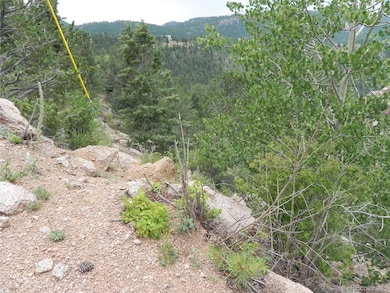 67 Ajax Rd, Florissant, CO 80816 - photo 7