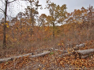 0 N Beaver Ridge Rd unit 1918771, Proctor, OK 74457 - photo 5