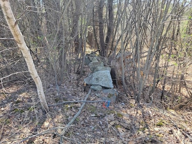 680-2 John Stark Hwy, Newport, NH 03754 - photo 5