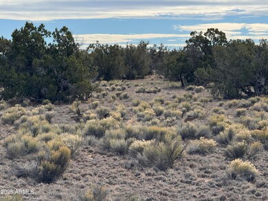 Lot 338 Sierra Highlands Ranch -- unit 338, Saint Johns, AZ 85936 - photo 5