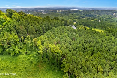 DJI_0495-HDR_1