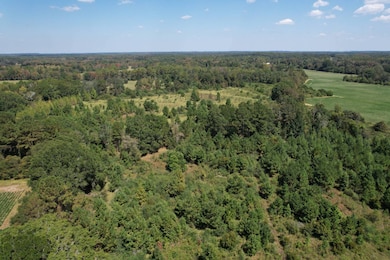 0 Hwy 277 unit 11615290, Graceville, FL 32440 - photo 2