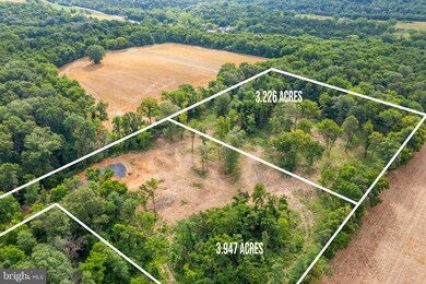 -0- Swartz Rd unit 3.2 & 3.9 ACRES, Woodstock, VA - photo 6