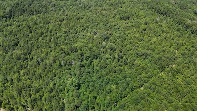 Shady Grove Road Lot unit Wp001, Saline, LA 71070 - photo 6