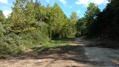 0 State Hwy C Denim Rd unit 18067944, Belgrade, MO 63622 - photo 2