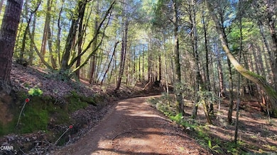 12301 Docker Hill Rd, Comptche, CA 95427 - photo 7