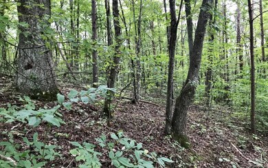 LT43B Mountain Rivers Ln, Mineral Bluff, GA 30559 - photo 2