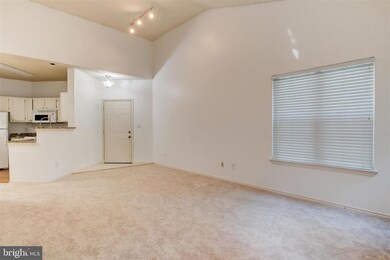 4404 Helmsford Ln unit 201, Fairfax, VA 22033 - photo 6