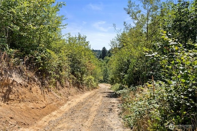 179 Halliday Rd, Centralia, WA 98531 - photo 7