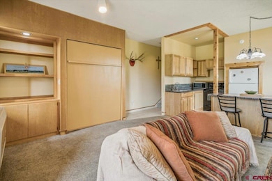 37 Valley View Dr unit 3136, Pagosa Springs, CO 81147 - photo 4