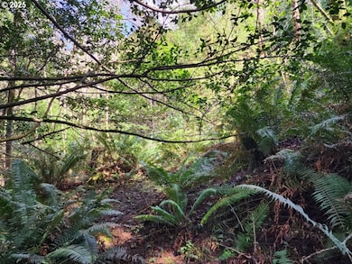 0 Jefferson St unit Lot 1&6 391642538, Port Orford, OR 97465 - photo 3