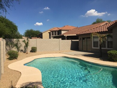 Low Maintenance Landscape
