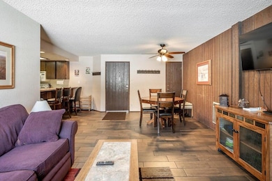 385 S Vasels Rd, Brian Head, UT 84719 - photo 3