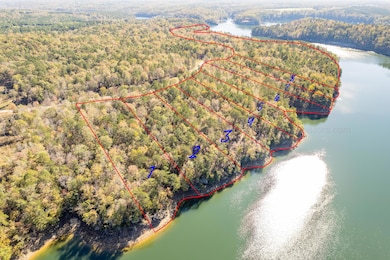Aerial Lot Lines