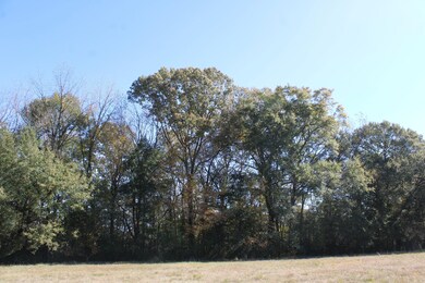 12000 Center Hill Rd, Mineral Wells, MS 38654 - photo 6