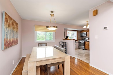 19 Alan Ct, Plainview, NY 11803 - photo 7