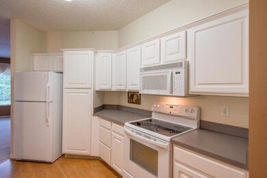 Kitchen --Light and Bright