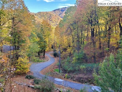 201 Thistle Ln, Banner Elk, NC 28604 - photo 7