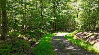 00 Kerness Rd, Wawarsing, NY 12428 - photo 4