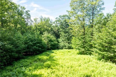 A little thinning for views toward Okemo
