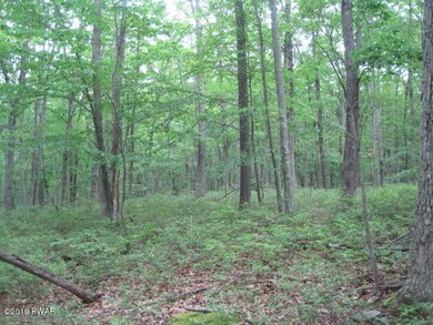 4-AR Lakefront Dr, Paupack Township, PA 18428 - photo 7