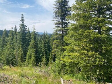 33 Challis Ln unit Lot 5, Cascade, ID 83611 - photo 6