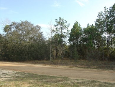 Great wooded property!