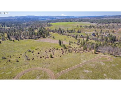 40 Mountainscape Cir, Goldendale, WA 98620 - photo 6