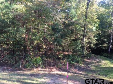 3005 Stonegate Blvd, Tyler, TX 75703 - photo 6