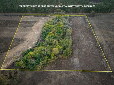 001 An County Road 117, Elkhart, TX 75839 - photo 5