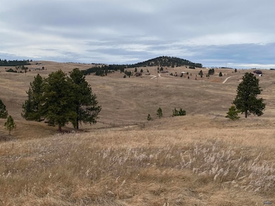 Lots 6 & 7 Mineral Ln unit TBD Mineral Lane, Hill City, SD 57747 - photo 7