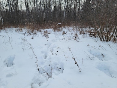 off N Weirgor Rd unit 5 Acres, Exeland, WI 54835 - photo 5