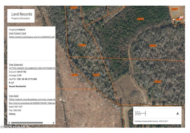 6 Acres Harvey Bowen Ln, Bolton, NC 28423 - photo 2