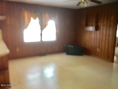 4724 Nc 124 W, MacClesfield, NC 27852 - photo 5