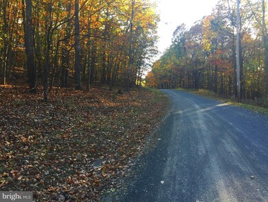 0 Cardinal View Rd unit 1003658583, Augusta, WV 26704 - photo 3