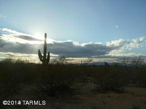 We Can Discover the Wonders of Nature