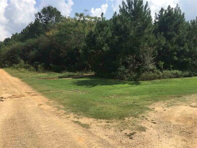 4 Hickory Ln unit 4, Mount Olive, MS 39119 - photo 2