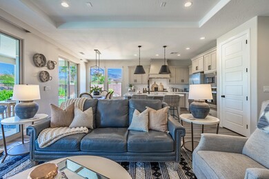 OPEN LIVING SPACE