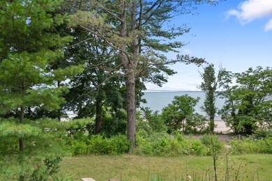 0 Lake Shore Dr, Grand Beach, MI 49117 - photo 7