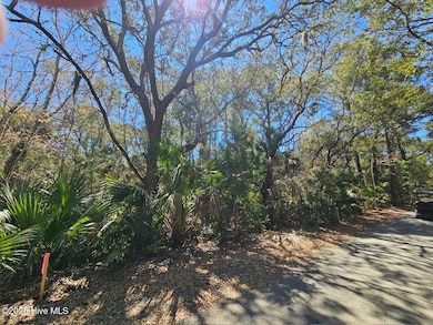 32 Dowitcher Trail, Bald Head Island, NC 28461 - photo 2