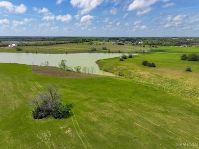 1 Mathews Rd, Mathews, AL 36013 - photo 2