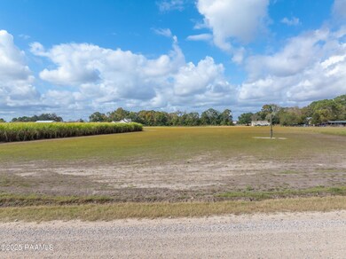 204 Black Rd, Saint Martinvlle, LA 70582 - photo 7