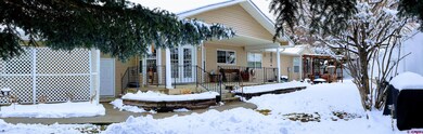 Back Yard & Decks