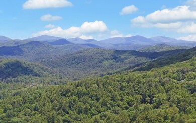Additional View