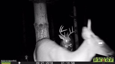 4506 W U Ave, Schoolcraft, MI 49087 - photo 5