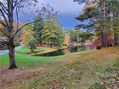 Driving into Kindy Forest is Always a Pleasure.