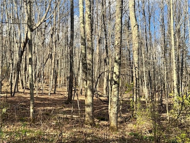 60 Gobblers Knob Rd, Delancey, NY 13752 - photo 7