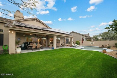Back yard(2)