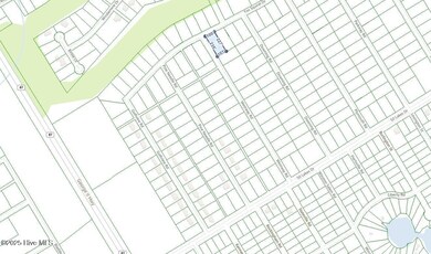 FOX SQUIRREL  RD